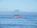 Bering Strait Crossing 131